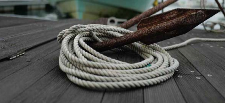  Estatísticas da PESCA 2024 - Publicação do INE em colaboração com a DGRM 