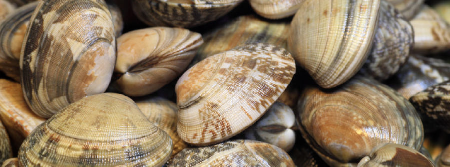  Prorrogação da Validade dos Livros de Registo de Moluscos Bivalves 