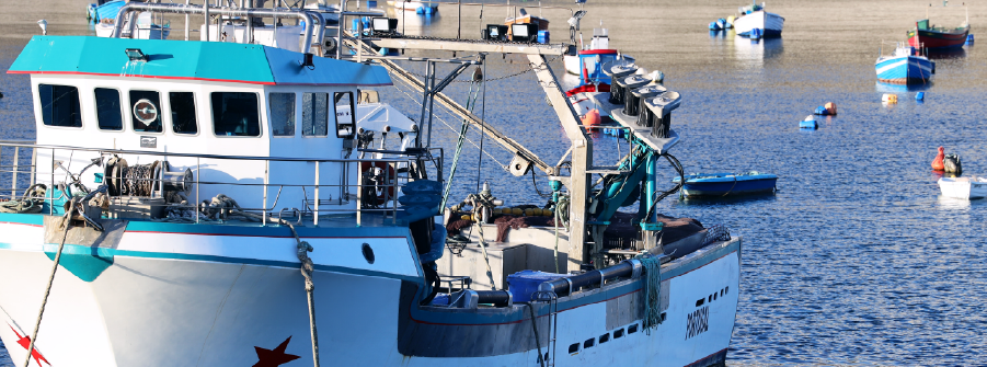  Publicado o Decreto-Lei 153/2026, de 31 de julho que define as normas de atribuição e marcação obrigatória do número da Organização Marítima Internacional de identificação de navios 