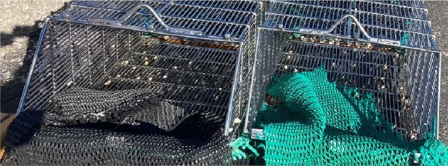  Medidas de gestão para a pesca com ganchorra na Zona Sul – Defeso 2026 