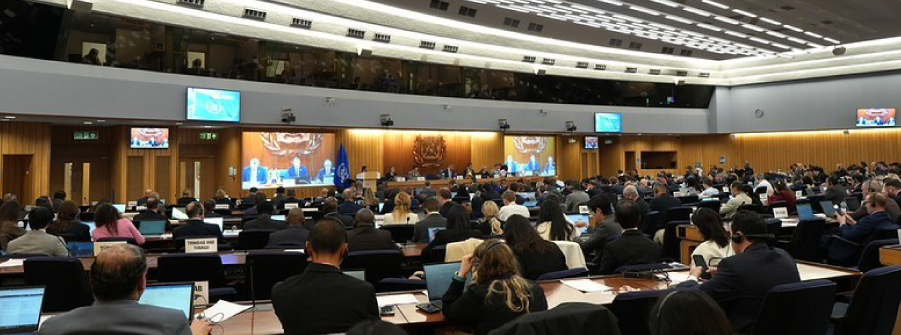  113º Sessão do Comité Jurídico da IMO 