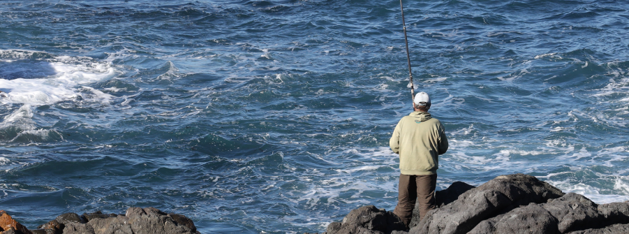  Inquérito à Pesca Lúdica - 2026 