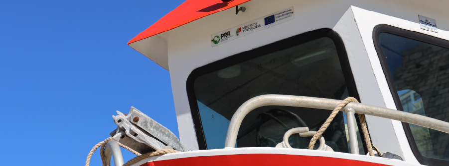  Nova oportunidade do setor da pesca e da aquicultura para beneficiar de apoios do PRR 