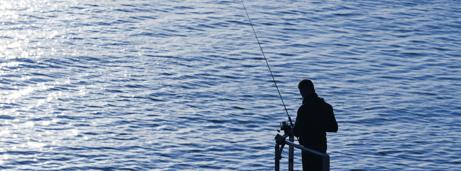  Registo das capturas da pesca lúdica - nova aplicação móvel a partir de 2026 