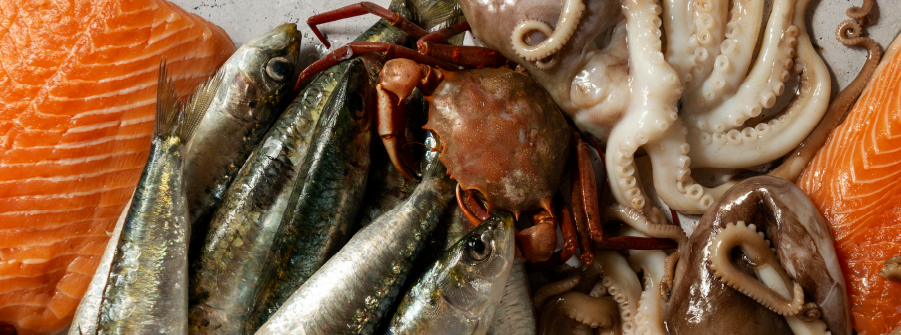  Importação de Produtos da Pesca – Medidas Restritivas à Federação da Rússia 