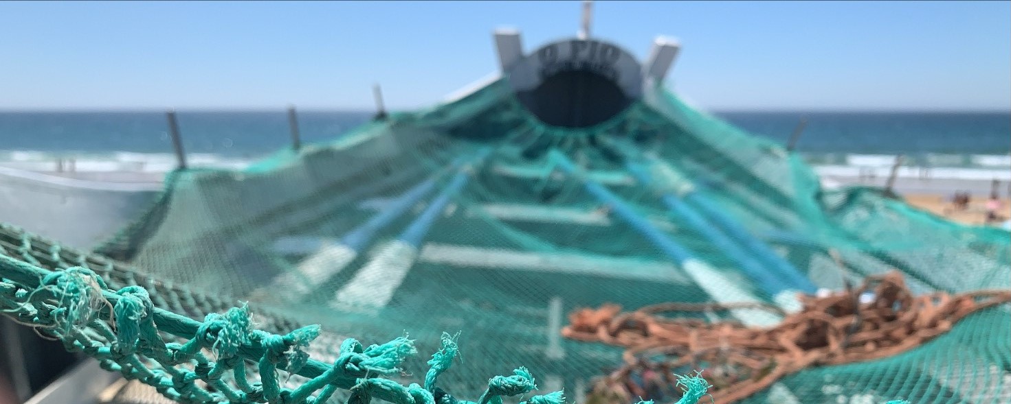  CLOSED SEASON FOR DONAX CLAMS 